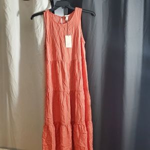 A . NEW DAY Summer dress